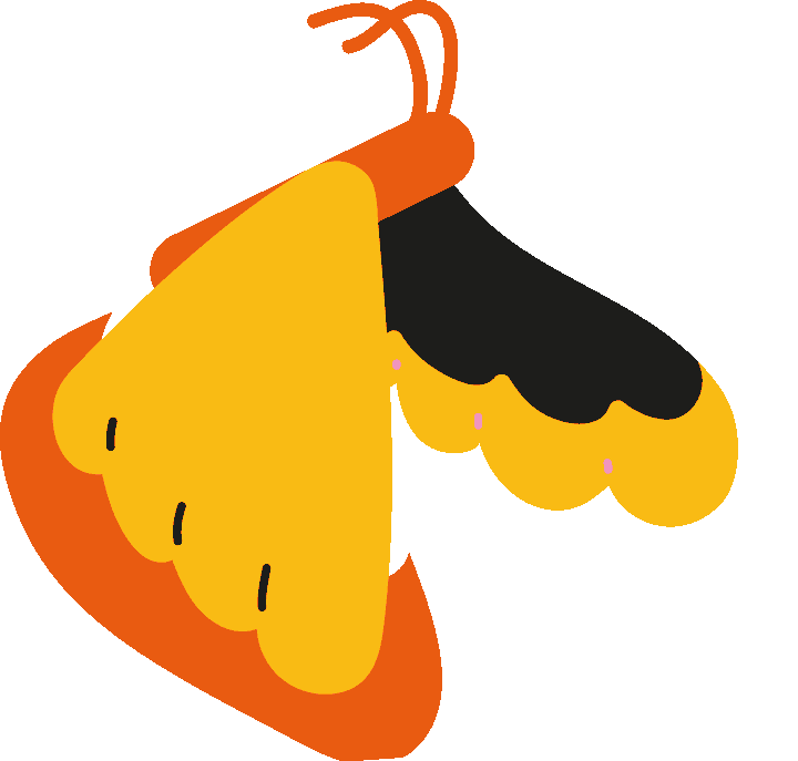 Butterfly 02